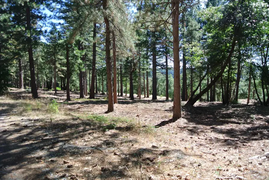 29 Ridge View Road, Foresthill, CA 95631 - Image #3