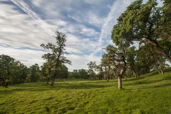 0 Dutch Flat Trail, Smartsville, CA 95977