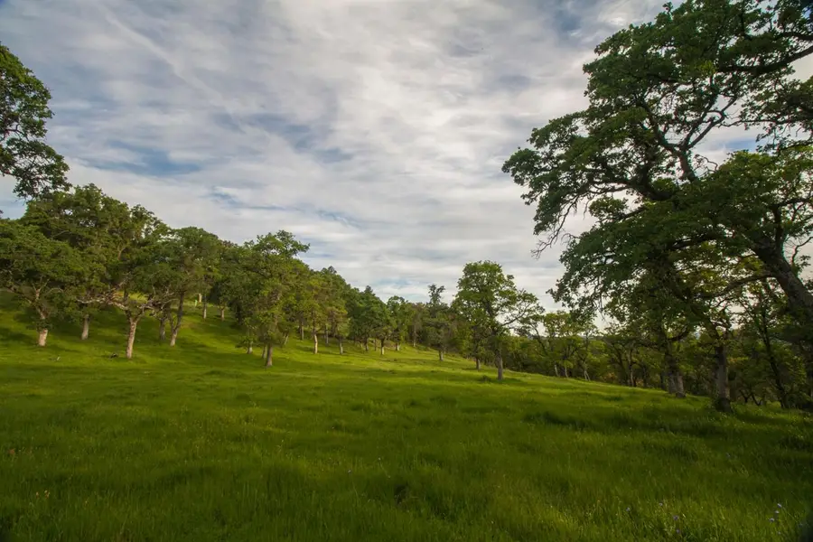 0 Dutch Flat Trail, Smartsville, CA 95977 - Image #3