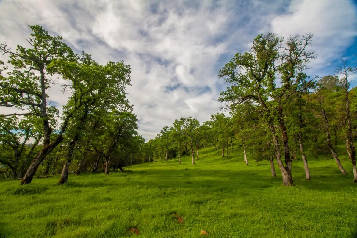 6 Dutch Flat Trail, Smartsville, CA 95977 - Image #1