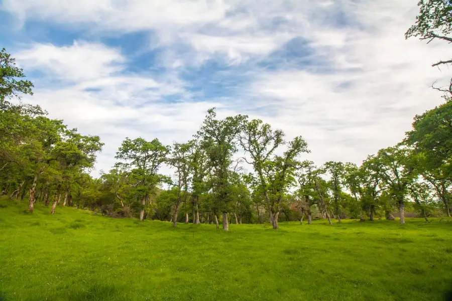 6 Dutch Flat Trail, Smartsville, CA 95977 - Image #3