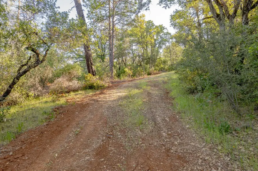 15171 Vavassuer Way, Dobbins, CA 95935 - Image #3