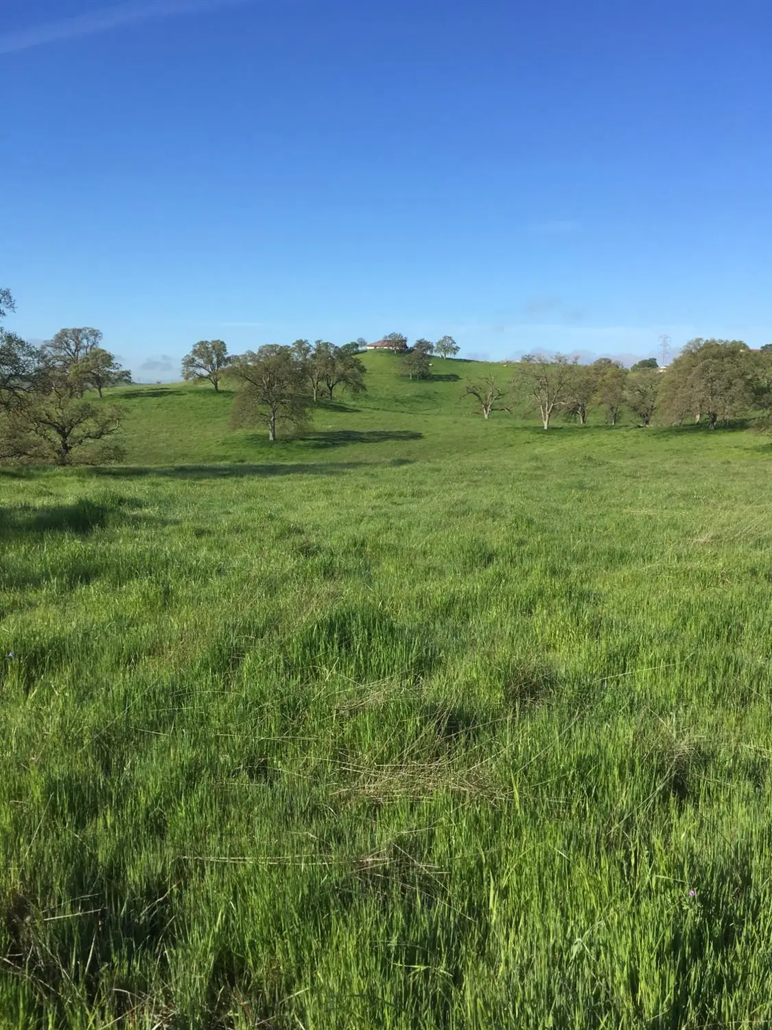 10232 Gregory Road, Valley Springs, CA 95252 - Image #1