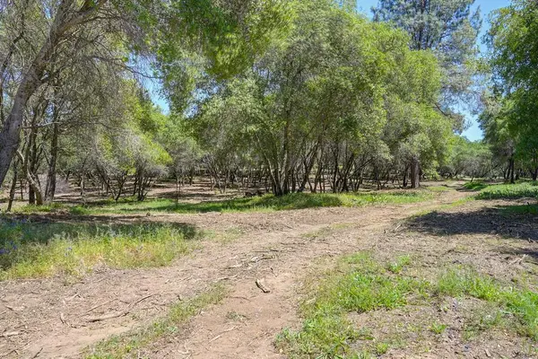 10650 Werner Road, Auburn, CA 95603