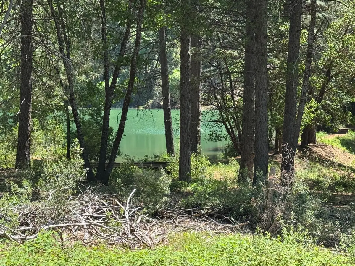 20710 Foresthill Road, Foresthill, CA 95631 - Image #1