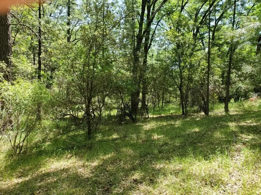 20631 Jaguar, Grass Valley, CA 95949 - Image #3