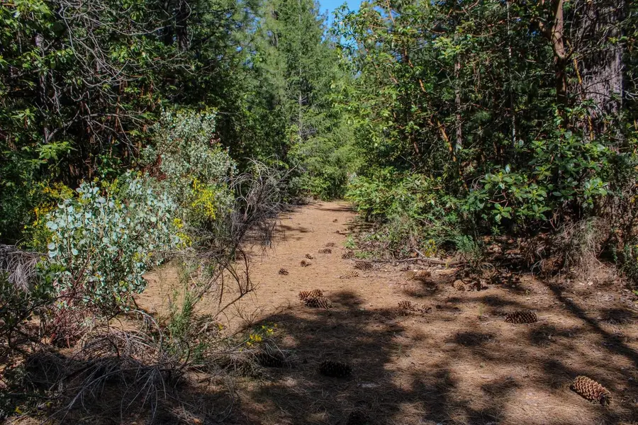 5734 Wilder Road, Georgetown, CA 95634 - Image #3