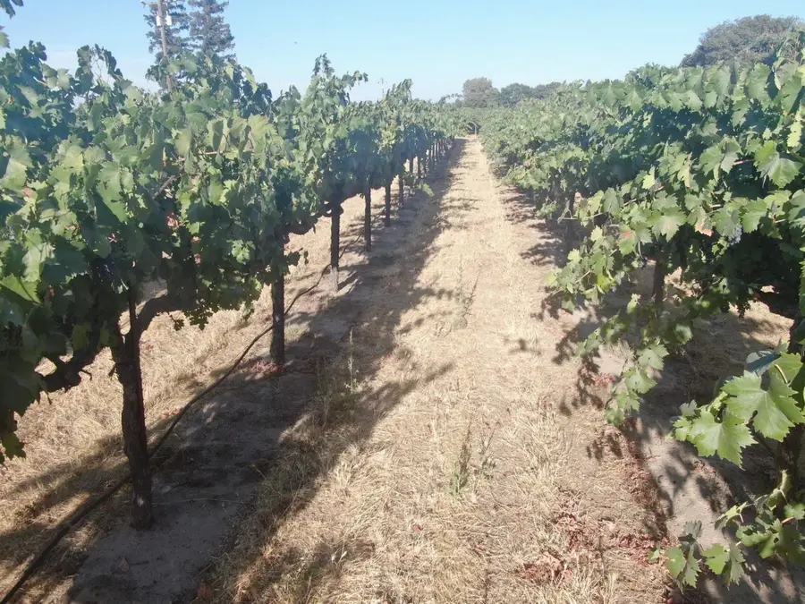 23371 N Davis Road, Lodi, CA 95242 - Image #3