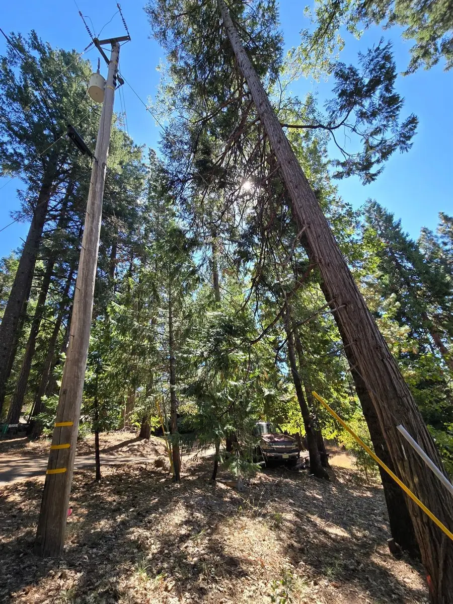 3224 York Court, Pollock Pines, CA 95726 - Image #3