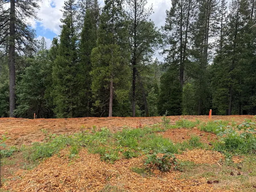 12465 New Brunswick Court, Grass Valley, CA 95945 - Image #2