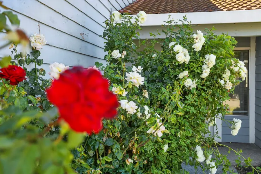 1122 Morning Dew Place, Stockton, CA 95210 - Image #2