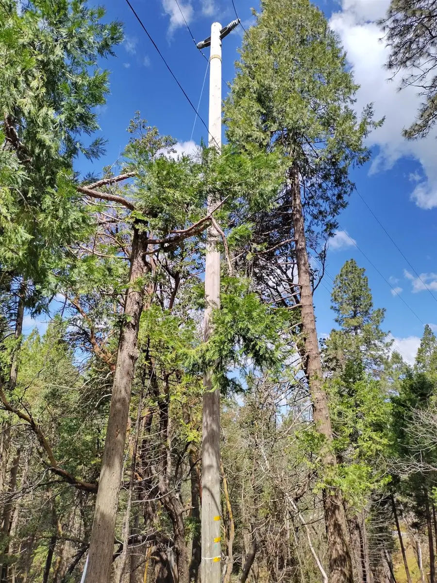 6141 State Highway 193, Georgetown, CA 95634 - Image #2