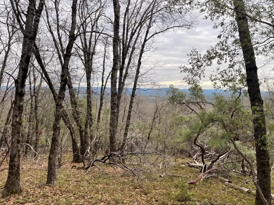 17100 Fritillary Way, Grass Valley, CA 95945 - Image #2