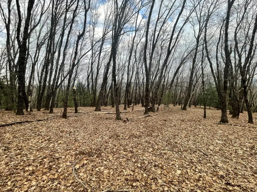 17100 Fritillary Way, Grass Valley, CA 95945 - Image #3