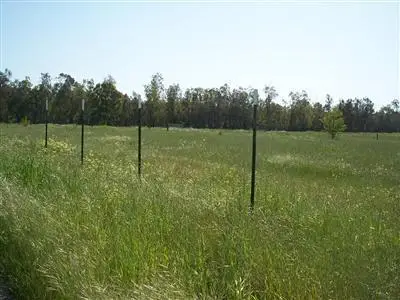 13664 Montfort Avenue, Herald, CA 95638 - Image #2