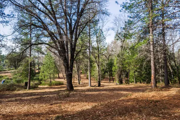 4900 Kelley Place, Garden Valley, CA 95633