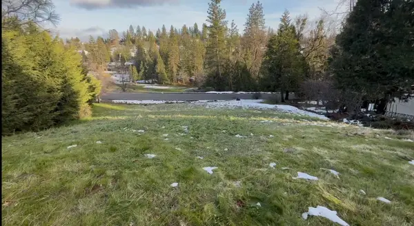 501 Forest Meadows Drive, Murphys, CA 95247