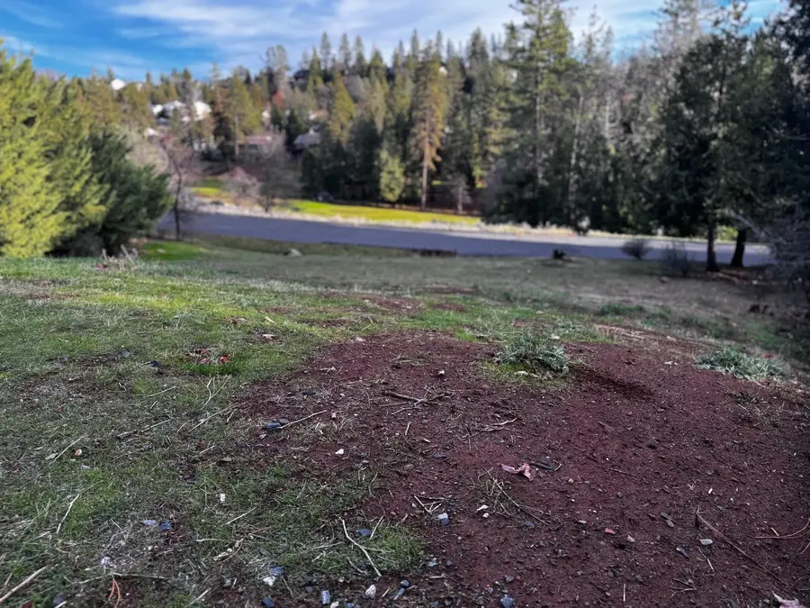 501 Forest Meadows Drive, Murphys, CA 95247 - Image #3