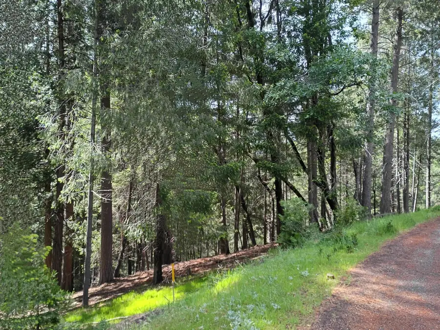 5662 Daisy Circle, Pollock Pines, CA 95726 - Image #2