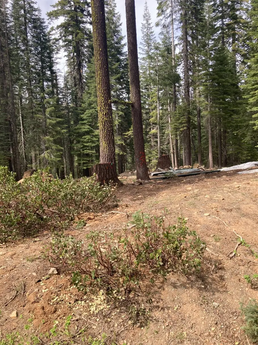 8896 Big Creek Road, Bucks Lake, CA 95971 - Image #2