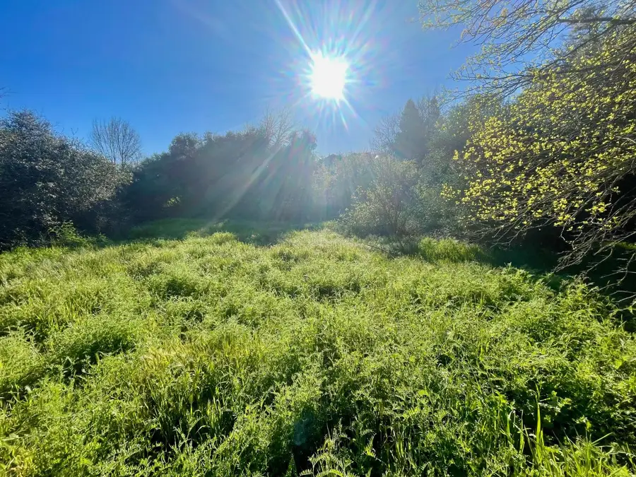 4215 New York Avenue, Fair Oaks, CA 95628 - #2