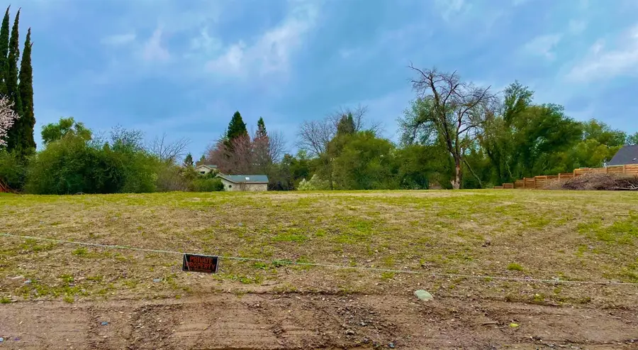 4215 New York Avenue, Fair Oaks, CA 95628 - #3