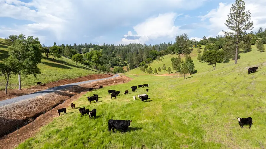 5160 Scarlet Oak, Greenwood, CA 95635 - Image #3