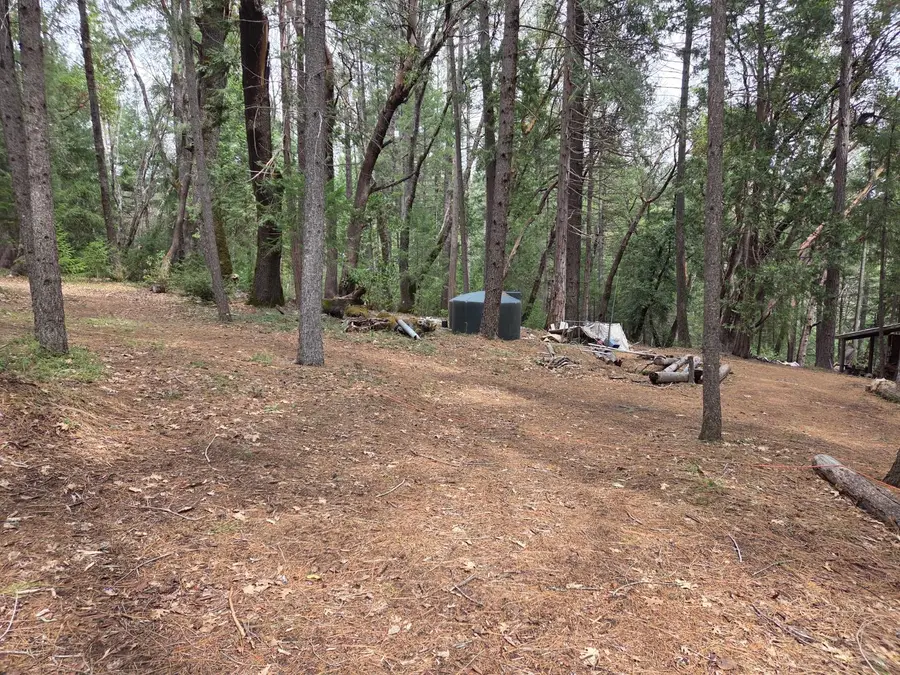 18755 N. Canyon, Nevada City, CA 95959 - Image #3