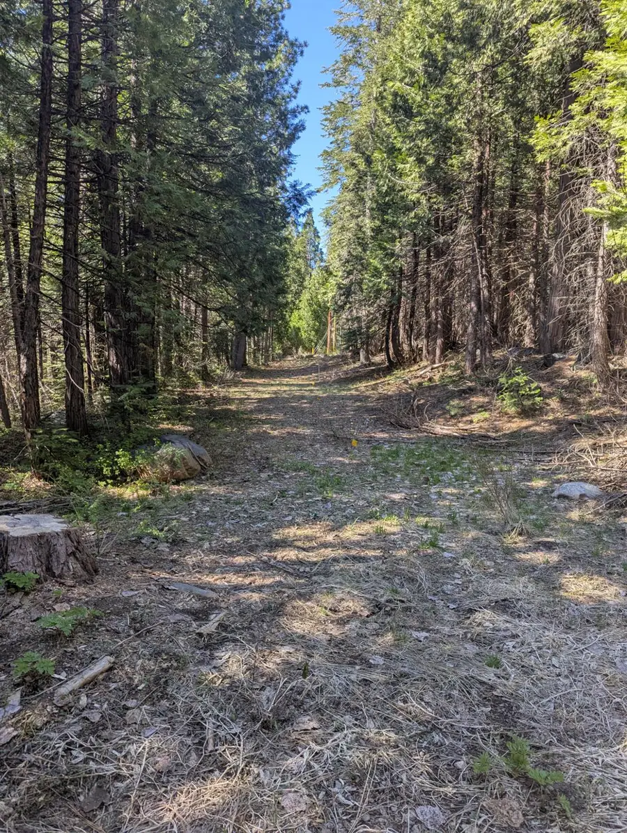 0 Texas Hill, Emigrant Gap, CA 95715 - Image #3