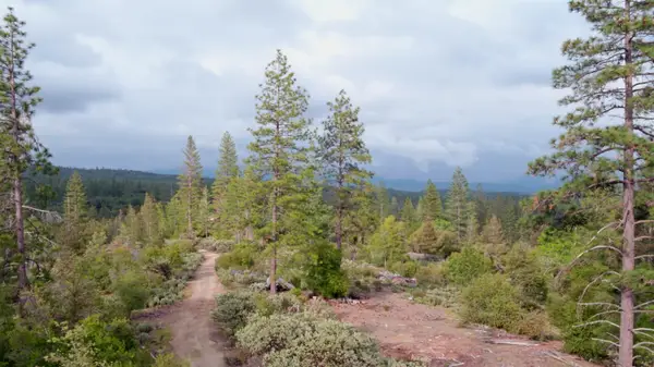 6363 Dogtown Road, Coulterville, CA 95311