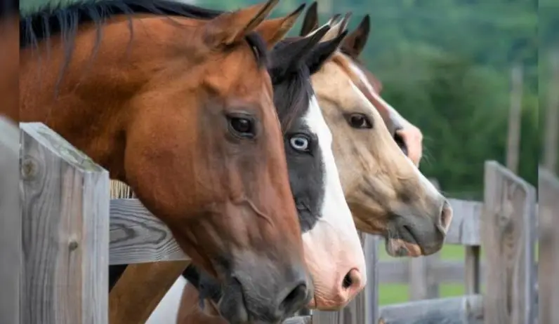 30100 Los Alamos, Murrieta, CA 92563 - #2