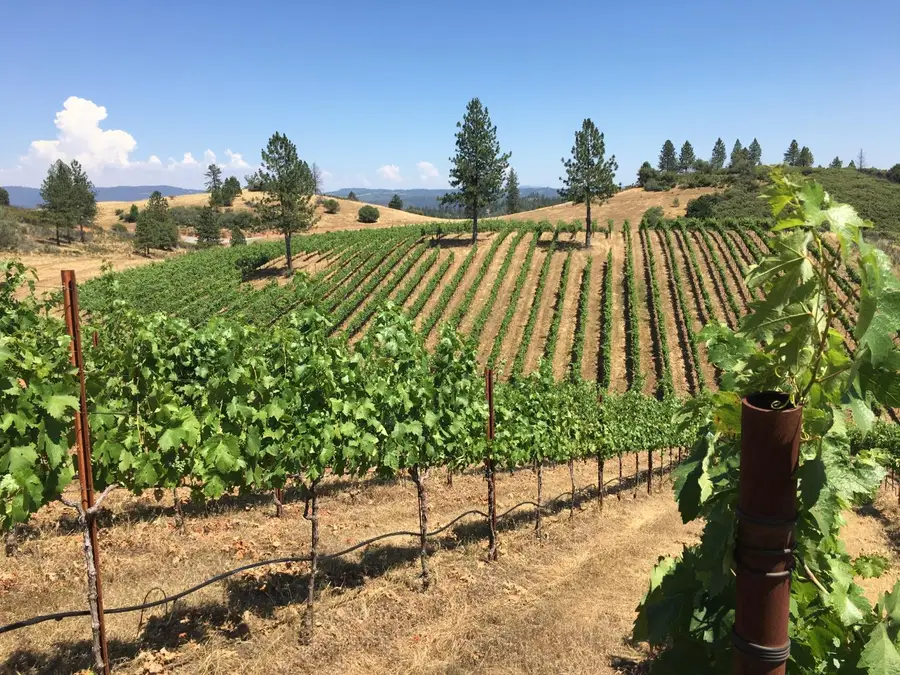 7005 Mountain Ranch Road, Mountain Ranch, CA 95246 - Image #3