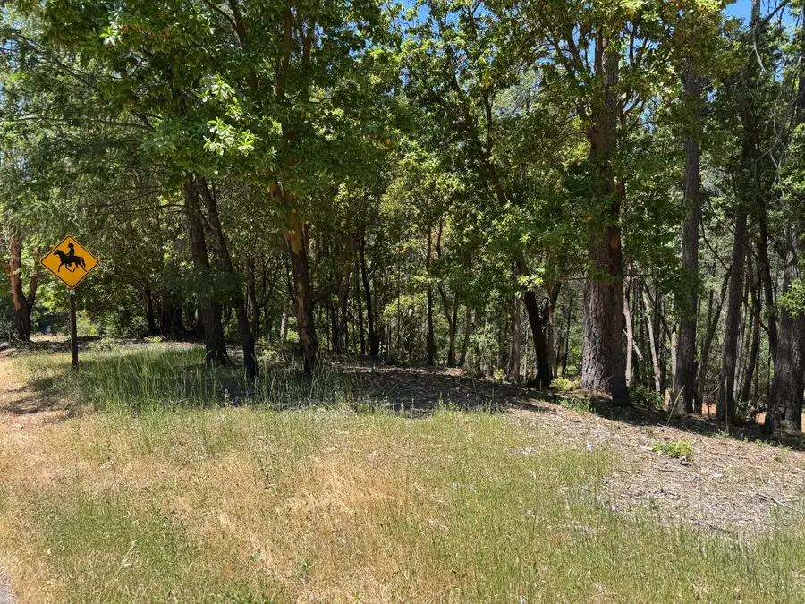 20945 Todd Valley Road, Foresthill, CA 95631 - Image #3