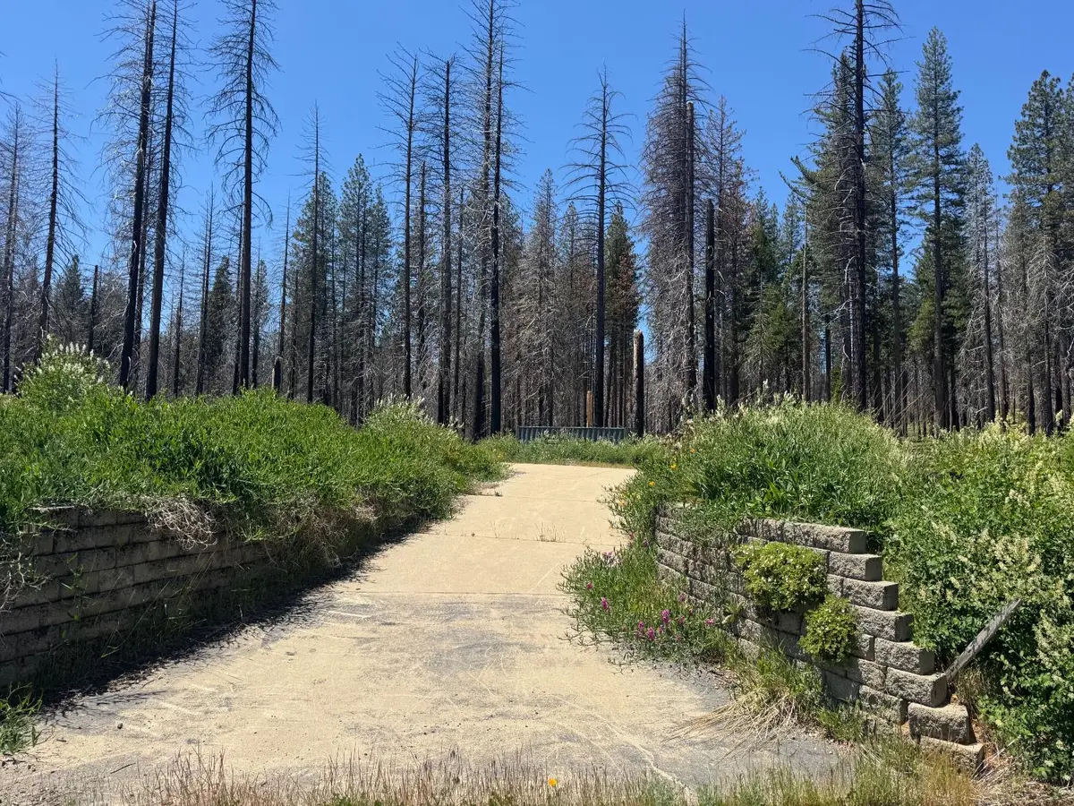 5309 Golden Aspen Drive, Grizzly Flats, CA 95636 - Image #1