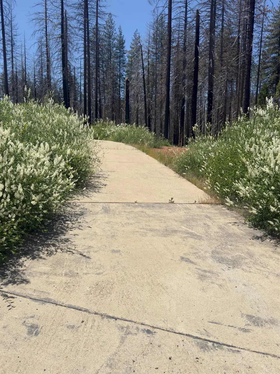 5309 Golden Aspen Drive, Grizzly Flats, CA 95636 - Image #2