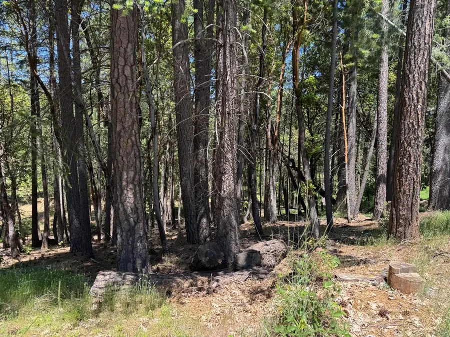 20955 Todd Valley Road, Foresthill, CA 95631 - Image #2