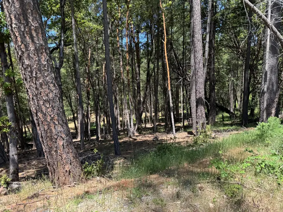 20955 Todd Valley Road, Foresthill, CA 95631 - Image #3