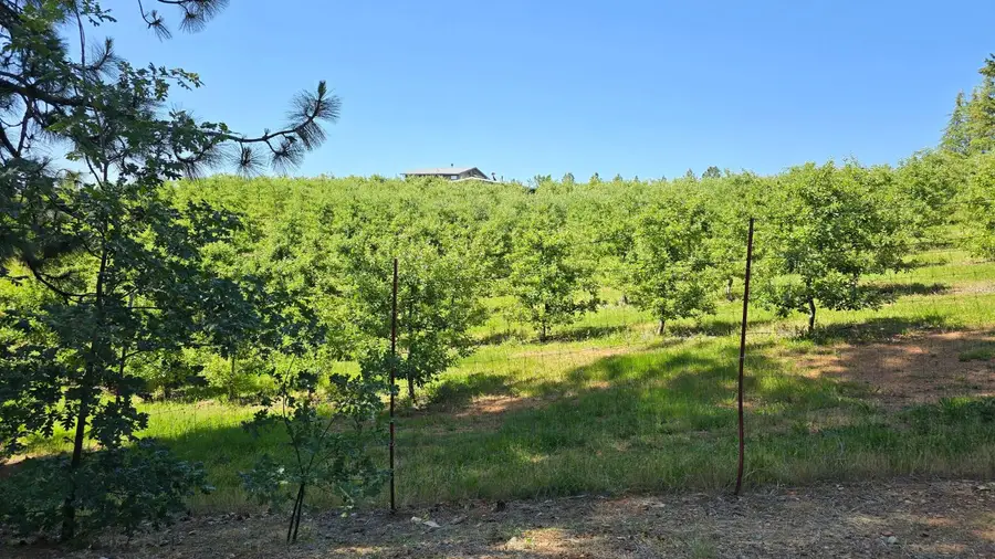 2254 Cable Road, Camino, CA 95709 - Image #3