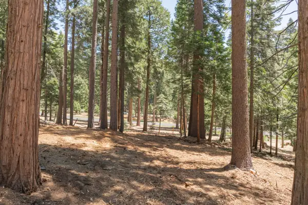 3043 Shoshone Drive, Camp Connell, CA 95223