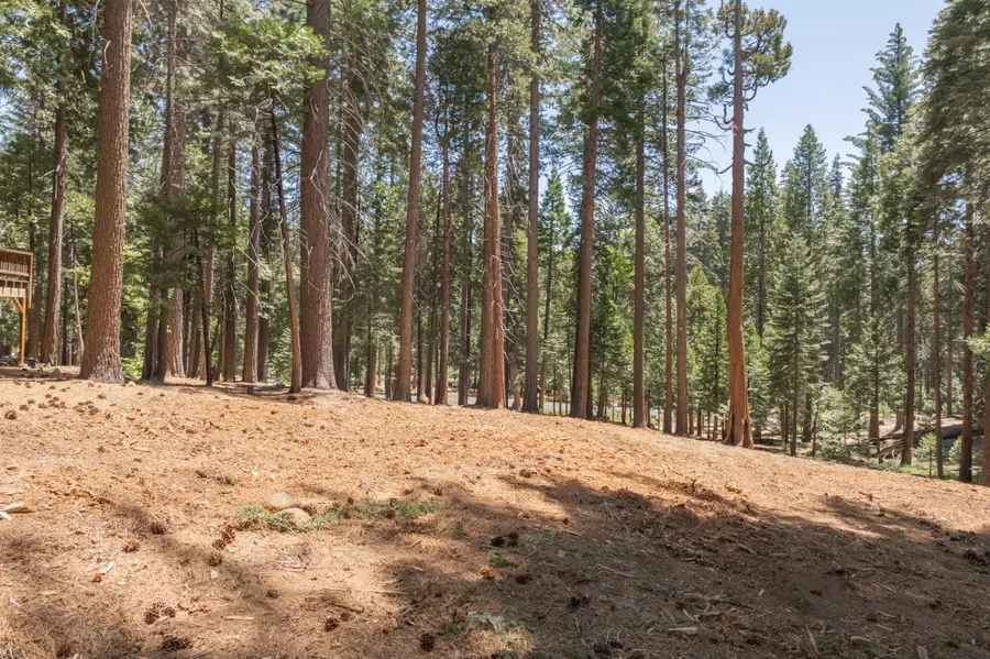 3043 Shoshone Drive, Camp Connell, CA 95223 - Image #3