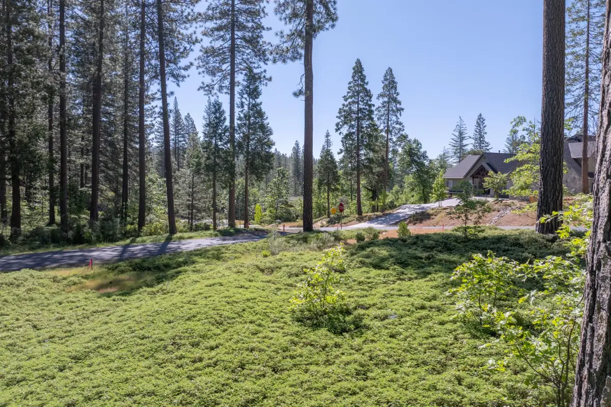 0 Vireo Way, Avery, CA 95224 - Image #1