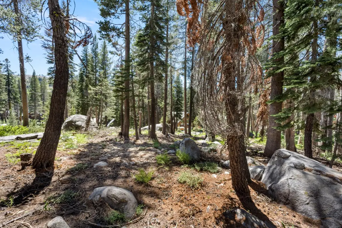 21752 Lotta Crabtree Terrace, Soda Springs, CA 95728 - Image #1