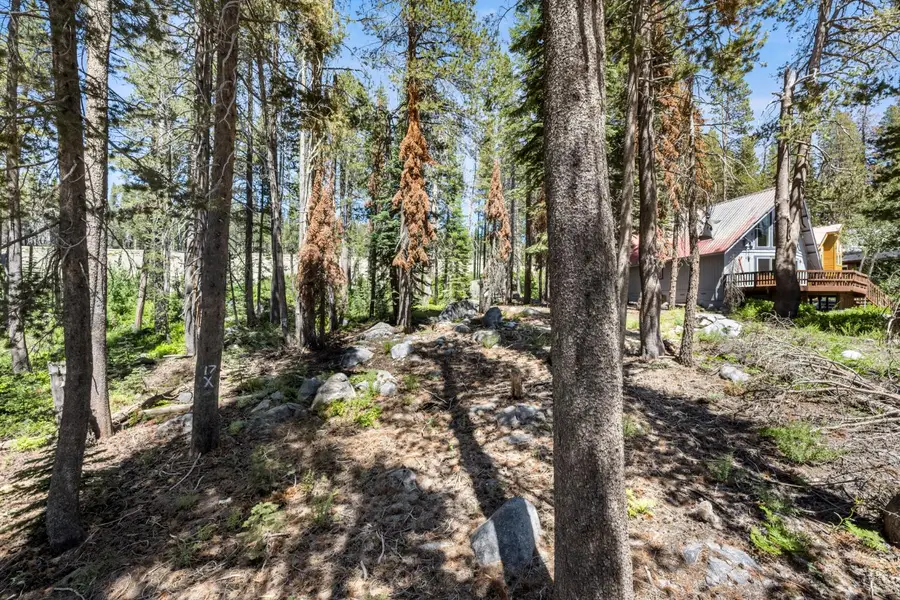 21752 Lotta Crabtree Terrace, Soda Springs, CA 95728 - Image #3