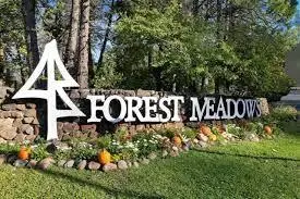 1015 Dogwood Drive, Murphys, CA 95247