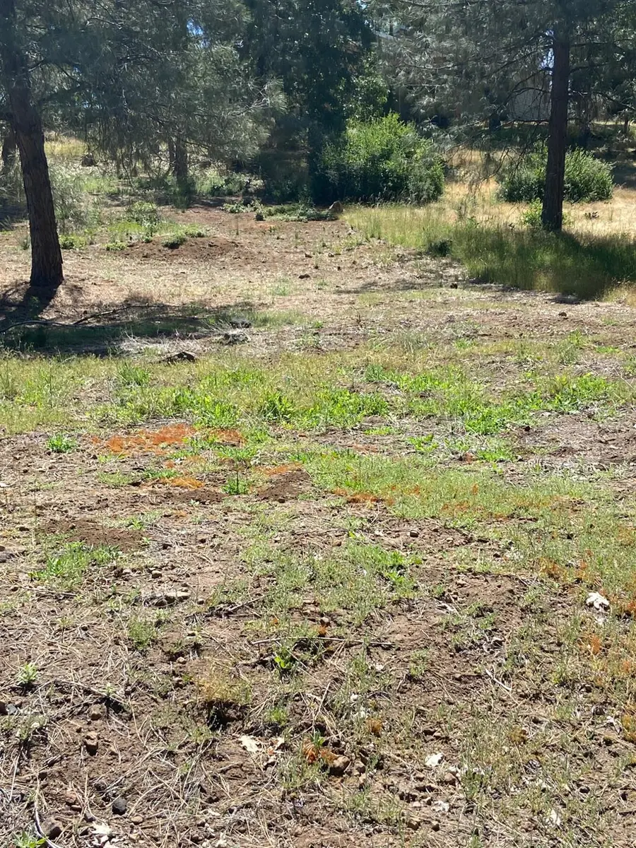 1015 Dogwood Drive, Murphys, CA 95247 - Image #2