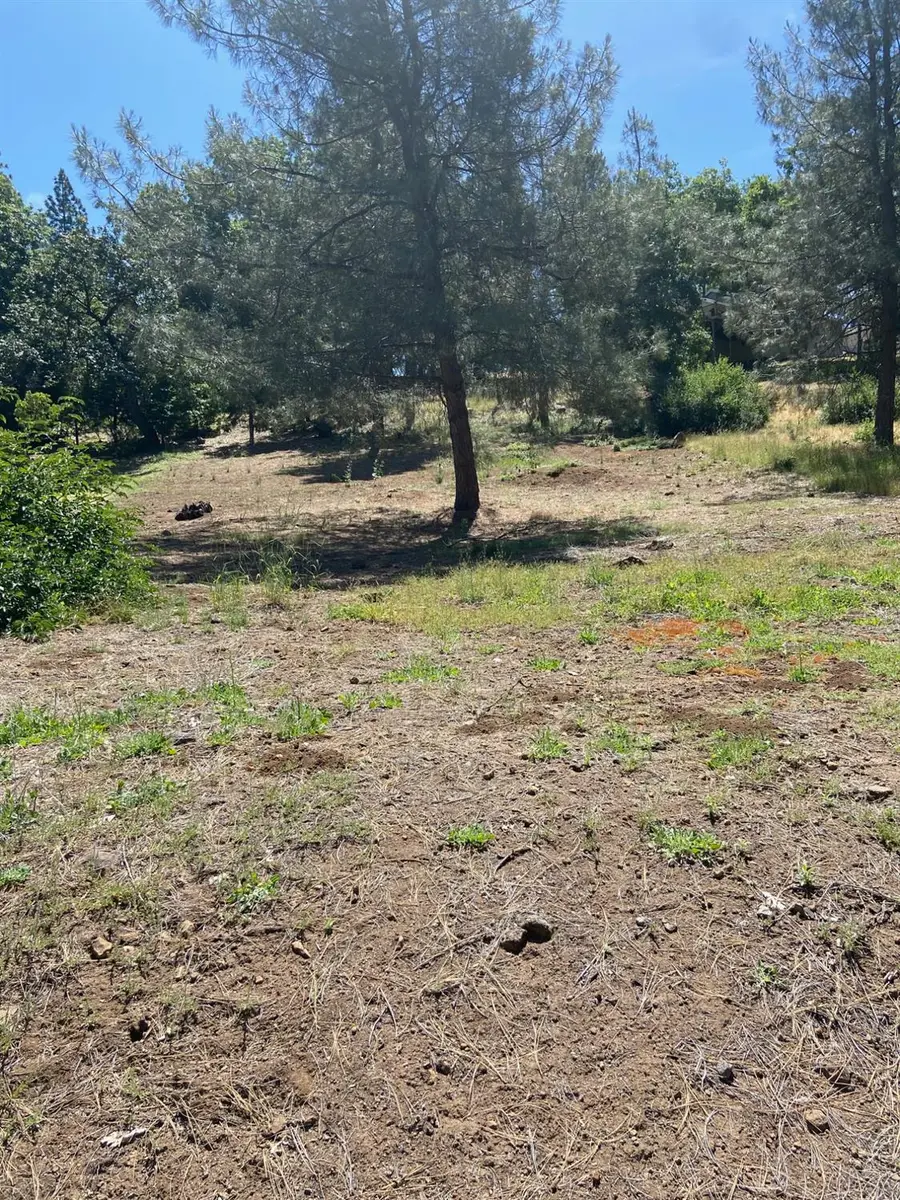 1015 Dogwood Drive, Murphys, CA 95247 - Image #3