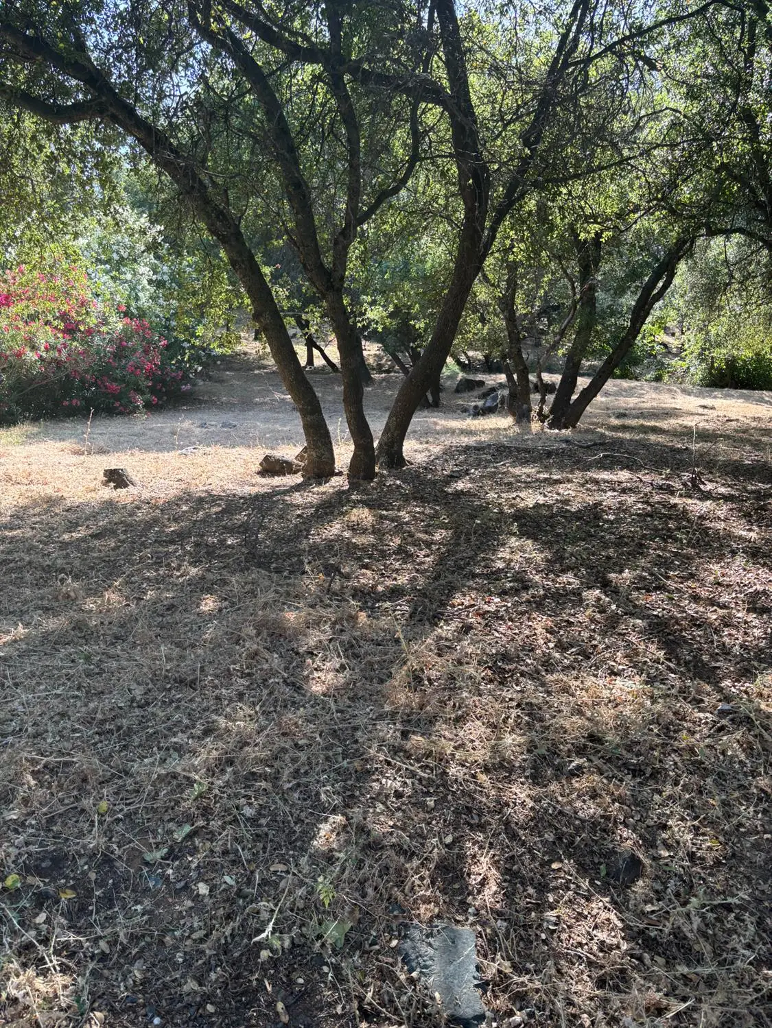 12964 Roadrunner Dr, Penn Valley, CA 95946 - Image #1