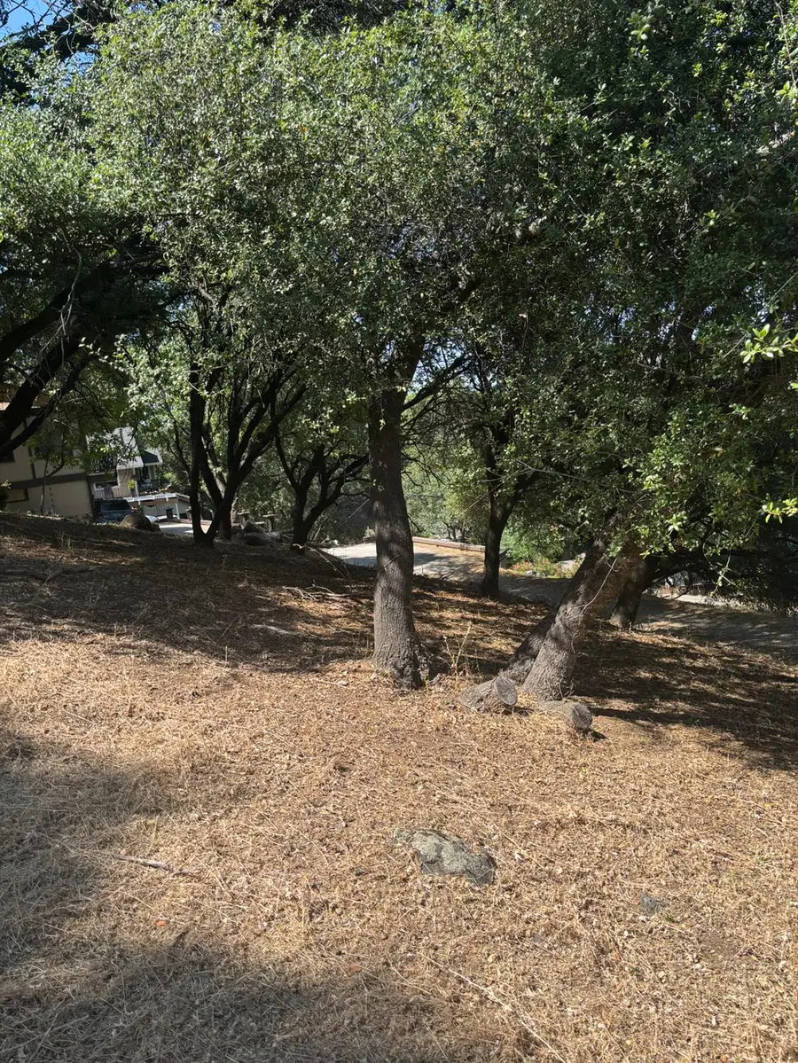 12964 Roadrunner Dr, Penn Valley, CA 95946 - Image #3