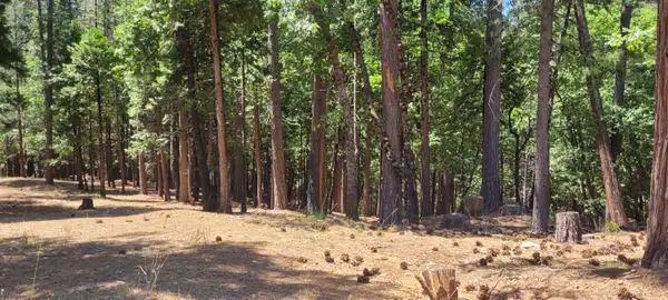 4790 Sierra Springs Drive, Pollock Pines, CA 95726