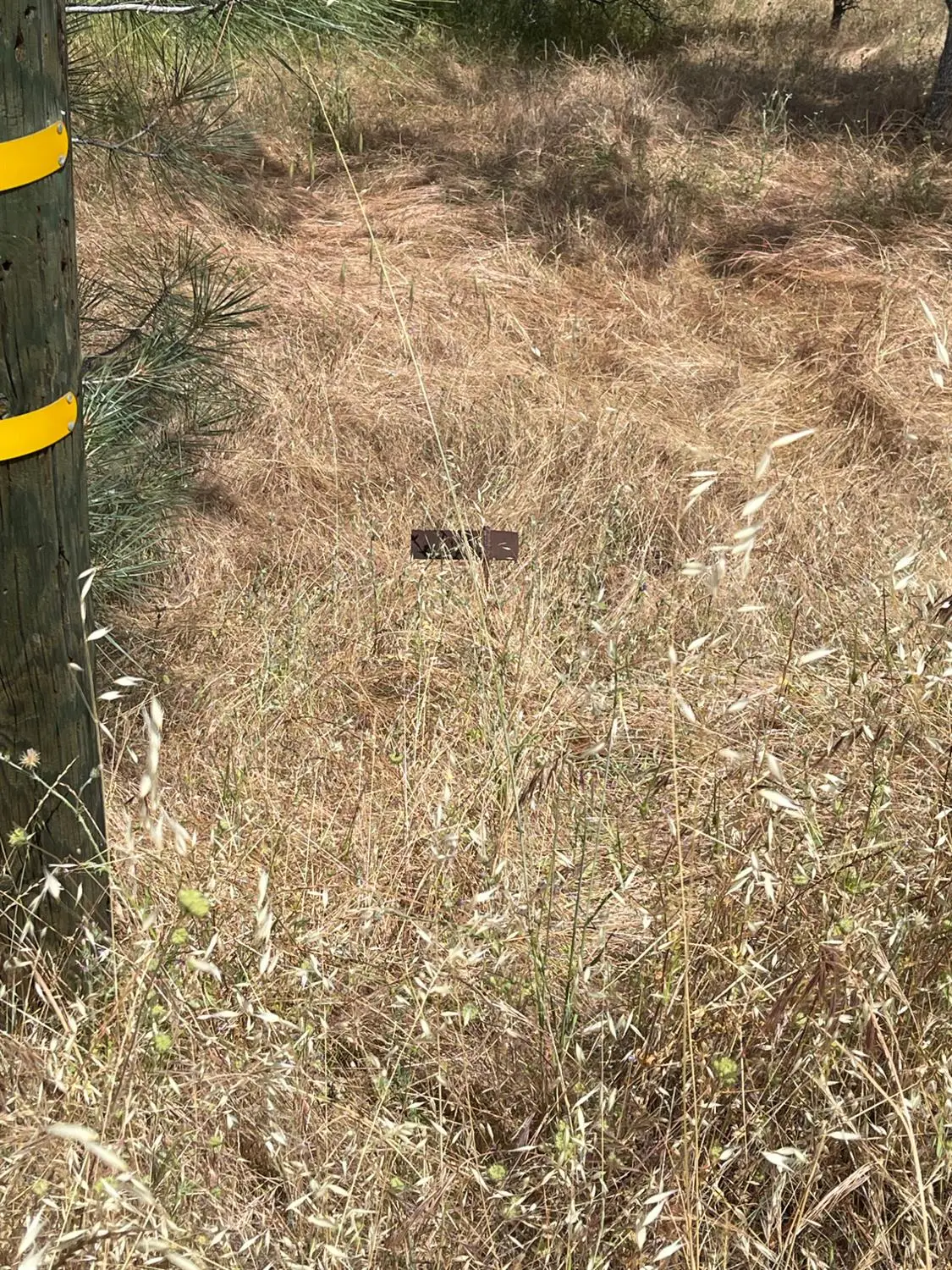 0 Hoyito, La Grange, CA 95329 - Image #1